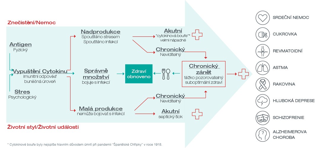 chronický inflační infographic