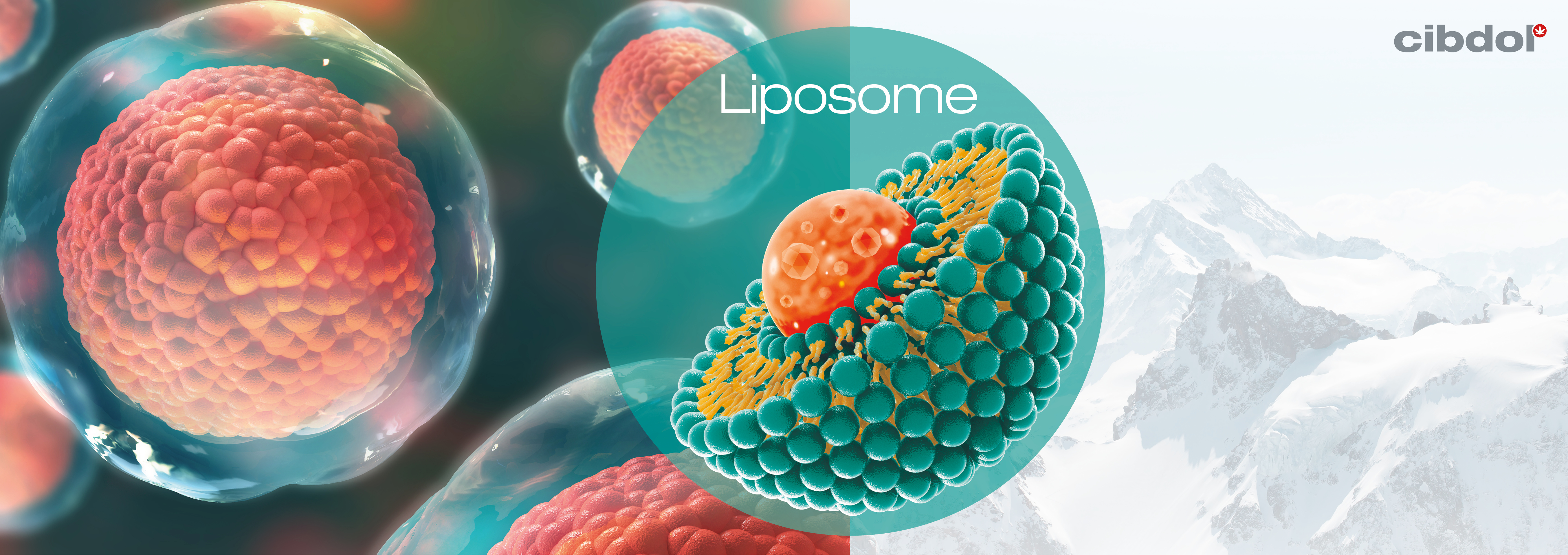 Liposomy