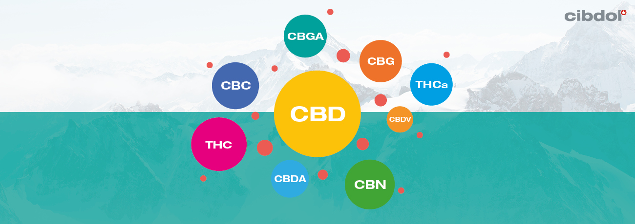 Co Je To Full-Spectrum CBD Olej?