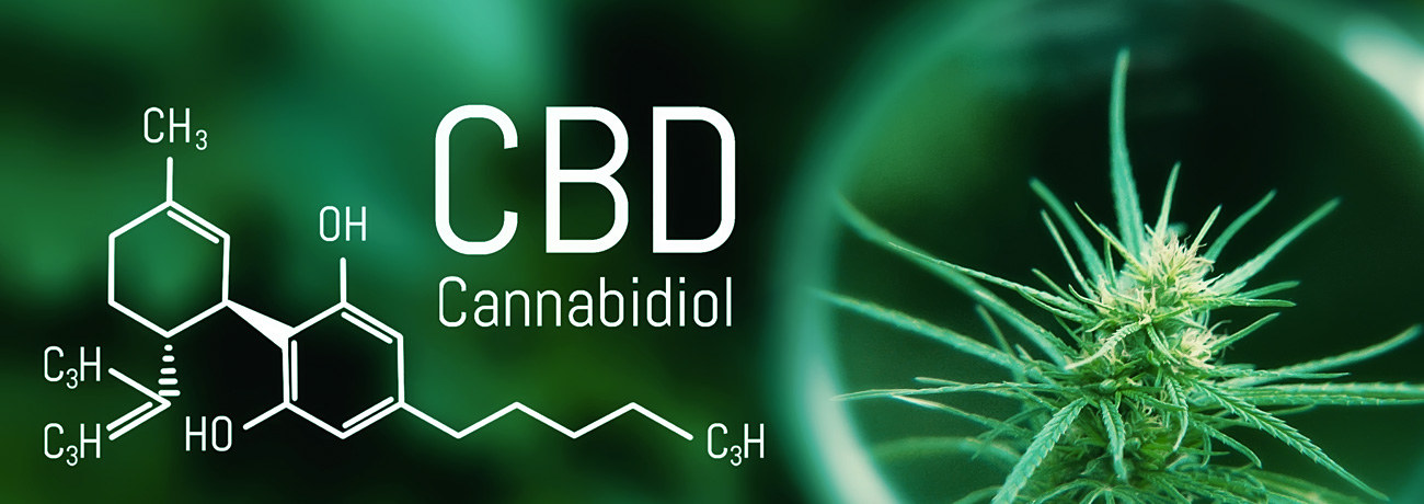 Může CBD působit proti THC?