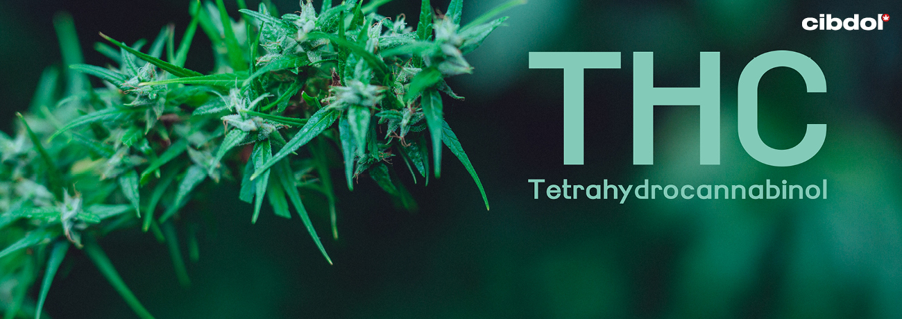 Právní status THC vs. CBD