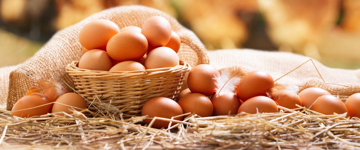 Kolik bílkovin je ve vejci?